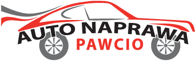 Auto Naprawa Pawcio Logo