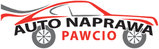 Auto Naprawa Pawcio Logo